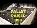 Recycled Pallet Raised Bed (part three)