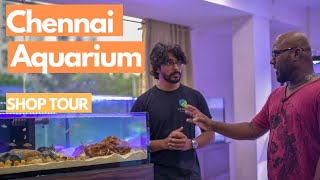 #116 New Aquarium Shop in Chennai, Adyar | Chennai Aquarium Shop Tour | Tamil