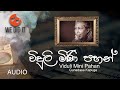 Viduli Mini Pahan ( විදුලී මිණි පහන් ) | Gunadasa Kapuge | Sinhala Songs