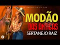 MODÃO DE BUTECO • MODA CAIPIRA • SÓ AS MELHORES - SERTANEJO - MODÃO DAS ANTIGAS - MODÃO RAIZ