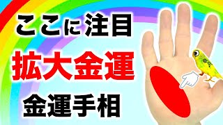 【手相】この線がある人は良い人生とお金が手に入る【切り抜き】