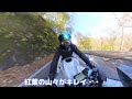 【ハヤブサツーリング】ワイボーンライダーたすくさんとのコラボツーリング。ワイボーンライダーたすくさんと一緒に紅葉のキレイな日光・中禅寺湖方面にツーリングに行きました（モトブログ）