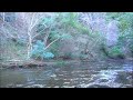 亀岩の洞窟・濃溝の滝（片倉ダム 清水渓流公園） 千葉県君津市 kameiwa caves nomizo falls