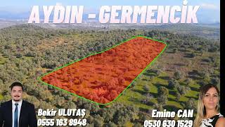 GERMENCİK'TE SATILIK ZEYTİNLİK