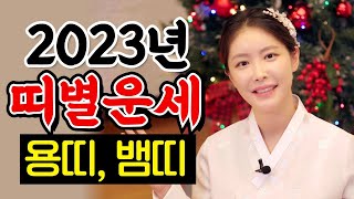 내년 용띠, 뱀띠의 운세는?! 2023년 띠별 재물운