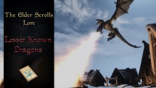 The Lesser Known Dragons of Tamriel, Backstories and Lore - The Elder Scrolls Lore