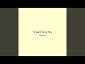 Ocean Forest Sky