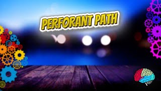 Perforant path - Know It ALL 🔊✅