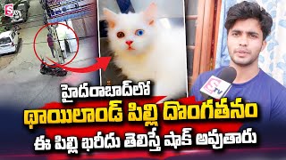 హైదరాబాద్ లో థాయిలాండ్ పిల్లి దొం_గతనం | Thailand Cat | Hyderabad | SumanTV Telugu