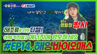 [알쓸신발] EP.14 미역, 먹지 마세요.. 에너지에 양보하세요!│ 알아두면 쓸데있는 신비한 발전소 이야기