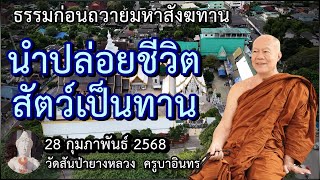 ธรรมก่อนถวายมหาสังฆทาน 28 กุมภาพันธ์ 2568 ครูบาอินทรฯ วัดสันป่ายางหลวง Kruba Intorn