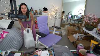 Alinity throws another cat