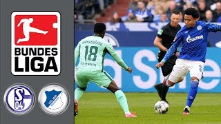 FC Schalke 04 vs TSG 1899 Hoffenheim ᴴᴰ 07.03.2020 - 25.Spieltag - 1. Bundesliga | FIFA 20