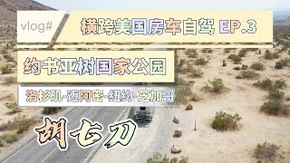 【胡七刀】穿越美國的猛禽清風房車自駕EP.03：約書亞樹國家公園｜一片荒涼的美國國家公園｜抵達亞利桑那州首府鳳凰城 ｜旅行｜自駕游｜美國｜跨美自駕