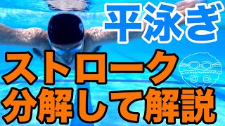 【平泳ぎ】ストロークまとめ【楽にだけでなく、速く泳ぐ】コツ・テクニック