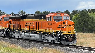 Fresh Out of the Shops BNSF ET44ACH Quartet Leads the C-EBMSLP0-54B!