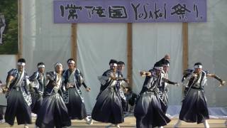 郷　人　2017　常陸国YOSAKOI祭り