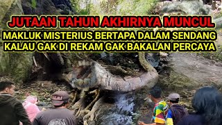 Bertapa Jutaan Tahun Akhirnya Muncul Makluk misterius dalam sendang kuno