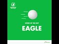 Safaricom Golf Tour | Meaning of Eagle