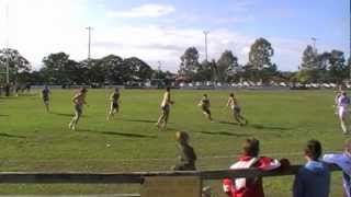 Touch Football Ipswich Falcons