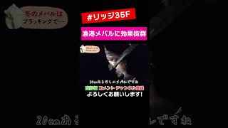 プラッキング×ベイトフィネスタックル #shorts