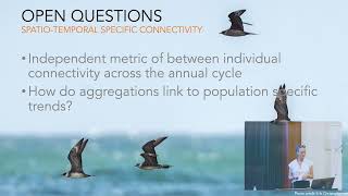 Seabird Group 2024 Conference - University of Coimbra. 5 Sept 2024 - Session 2