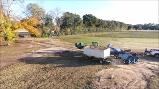 Pecan Harvest 2016