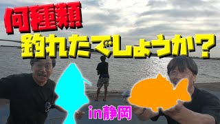 【静岡の海は魚の種類が多すぎ！】第20回ダーツの釣り！静岡【第1話】