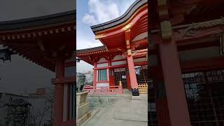 土佐稲荷神社ヘ初参拝【Tosainari shrine】#shorts