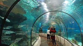 Aquarium Barcelona | Wikipedia audio article