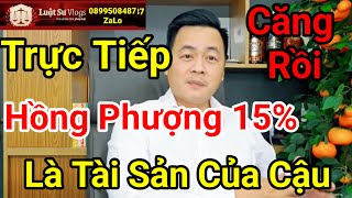 🔴 Vụ Án Hồng Loan Con NSUT Vũ Linh Hồng Phượng Lên Tiếng ? Luật Sư Vlogs