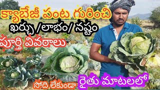 క్యాబేజీ వ్యవసాయం నష్టం లేని పంట, లక్షల్లో ఆదాయం #cabage farming