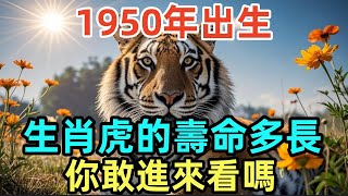 1950年出生，生肖虎的壽命多長，你敢進來看嗎？#屬相 #生肖 #命理 #運勢 #風水