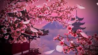 Beautiful Japanese Music For Relaxation  | Sakura Blossoms  | Japanese Koto Music