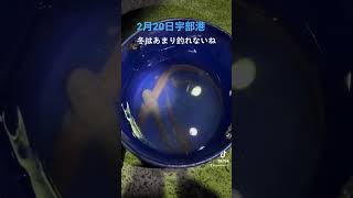 【魚釣り宇部港】