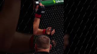 Bruno Silva Finishes Andrew Sanchez | UFC Fight Night