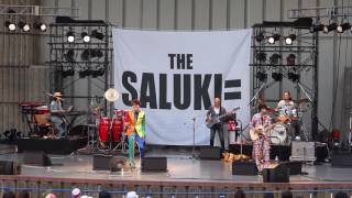 Saluki= 『ぼくのドラえもん』