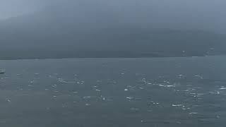 台風９号で鹿児島湾（錦江湾）に避難する船