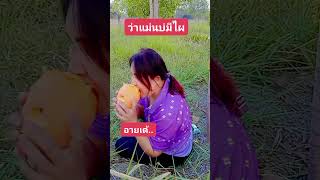 กำลังอร่อยเลย#เพื่อความบันเทิง #ตลก #ตลกฮาฮา #funny #funnyvideo #funnyshorts #funnyvideos