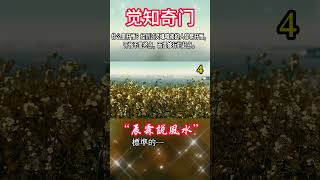 4.什么是开悟？经历过灵魂暗夜的人容易开悟，开悟不是终点，而是修行的起点。#宇宙 #精神 #財富 #修行#能量#業力#靈魂 #第五維度#生命 #振動 #靈性 #覺醒