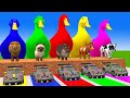 5 Giant Duck Cartoon,Cow,Mammoth,Lion,Dog,Bear,Tiger Paint Wild Animals Crossing Fountain Animation