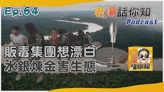 拉美販毒黑幫漂白新手法 水銀煉金戕害亞馬遜生態｜老湯話你知Podcast#64｜TVBS新聞@TVBSNEWS01