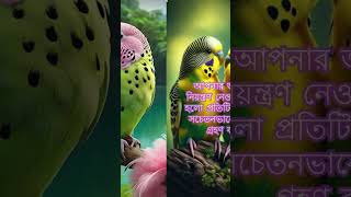 আপনার জীবনের নিয়ন্ত্রণ নিন || নিয়ন্ত্রণহীন জীবন || সফলতা || Road To Success || Masud Pervez