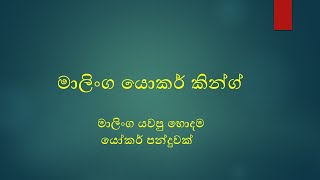 මාලින්ග යවපු ාදම යෝකර් පන්දුවක්ග.මාලී..........