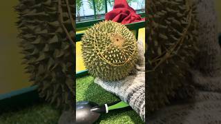 Black Thorn vs. Musang King- How can you tell the difference?