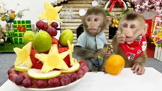 Bim Bim harvests fruits to make watermelon cake for baby monkey Obi