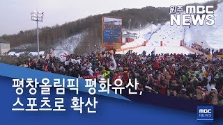 2020. 2. 10 [원주MBC] 평창올림픽 평화유산, 스포츠로 확산