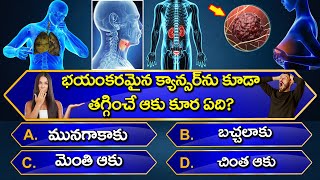 Interesting Questions In Telugu I| Episode-47 || Unknown Facts || GeneralKnowledge ||Telugu Quiz