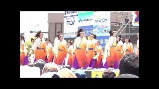 よさこい連「わ」・踊っこまつり 2018