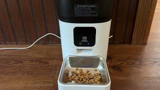 Honest Review of the Papifeed Automatic Cat Feeder